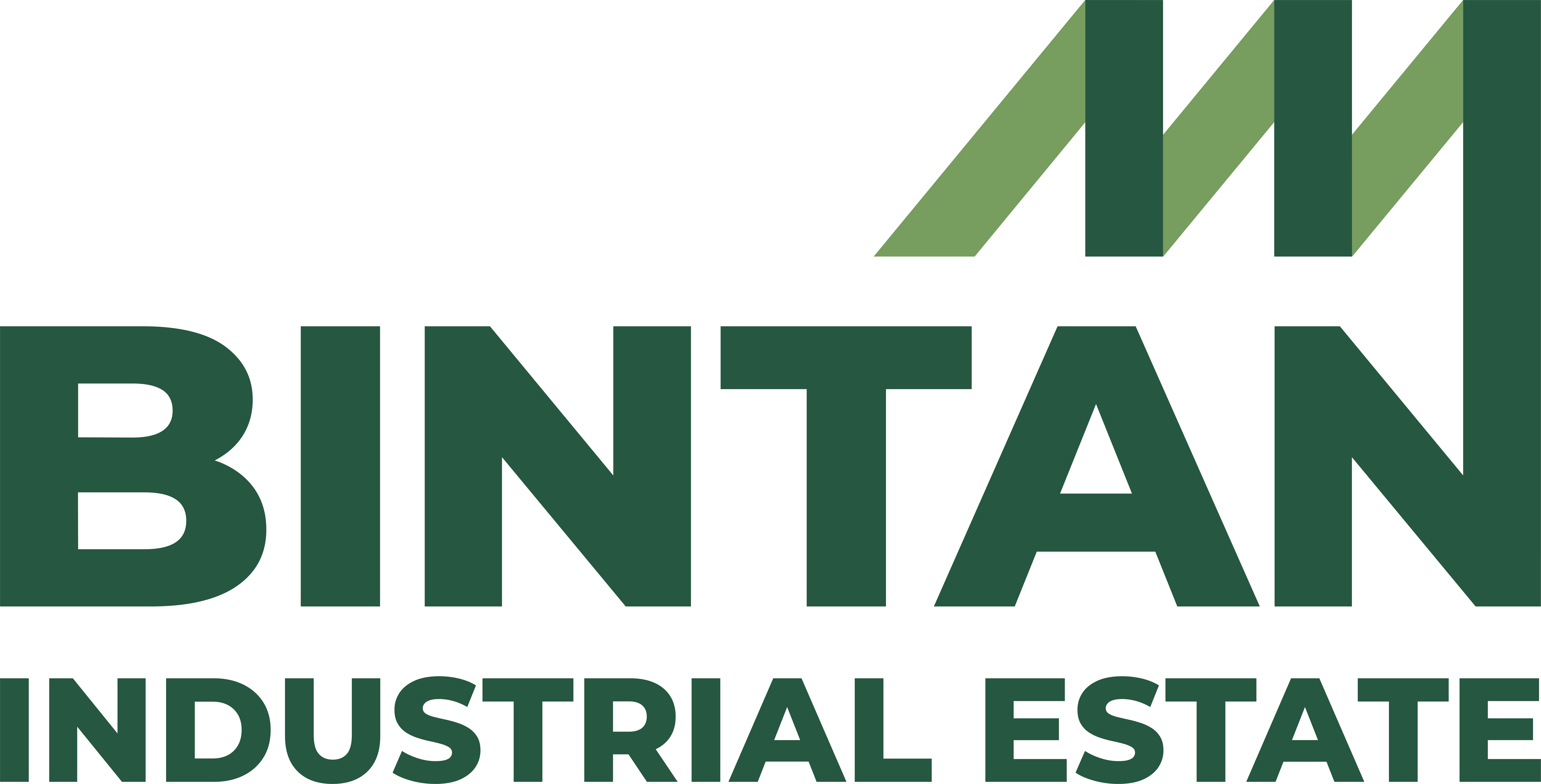 Bintan Industrial Estate