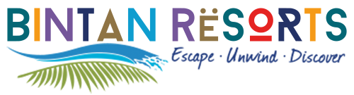 BR logo