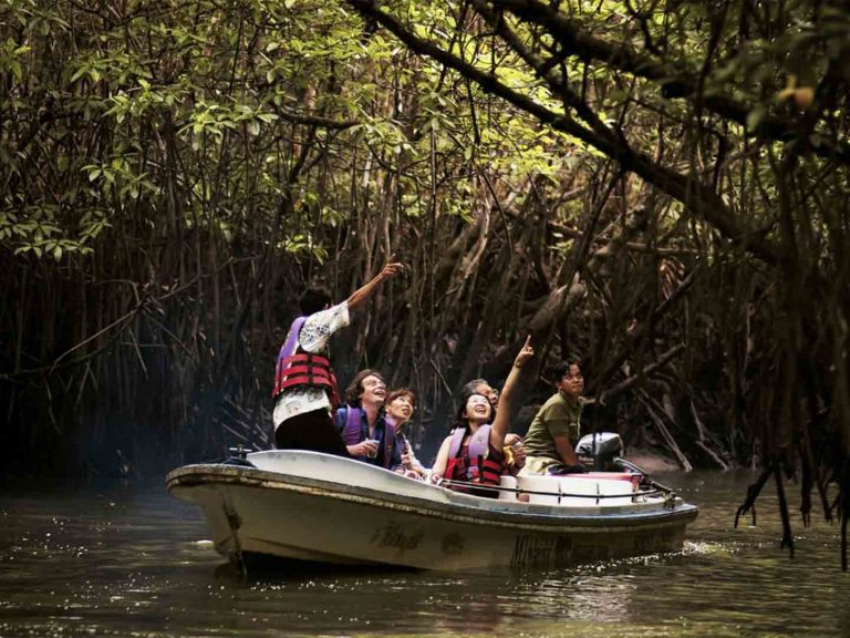 Bintan Discovery Tour